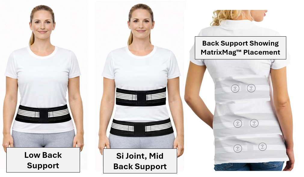 MatrixMag Back Support Replacement - Image 3